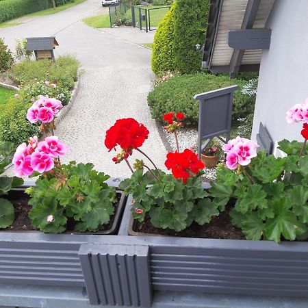 Auf Dem Hufen Appartement Ribnitz-Damgarten Buitenkant foto