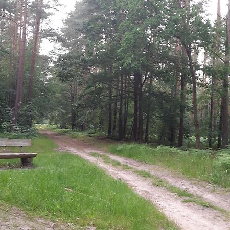 Auf Dem Hufen Appartement Ribnitz-Damgarten Buitenkant foto